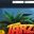 No Deposit Bonus at JoyCasino Casino